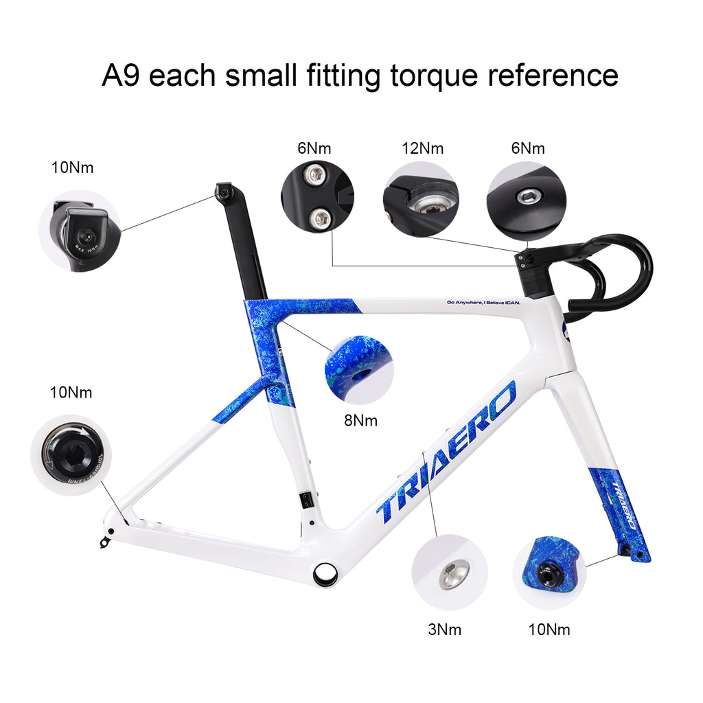 ICAN UCI Road Bike Disc Frame A9 Torque - Triaero