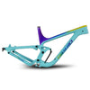 Available Painted Enduro MTB Frame P9 - Triaero