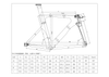 Carbon Track Bike Frameset TRA01 - Triaero