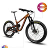 Enduro Bike P9 - Triaero