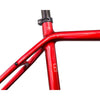 Internal Routing X-Gravel Bike Frame EU - Triaero