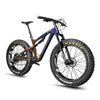 SN04 Fat Bike Rainbow - Triaero