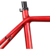 Upgraded Internal Routing X-Gravel Bike Frame - Triaero